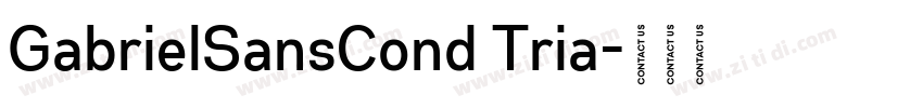 GabrielSansCond Tria字体转换